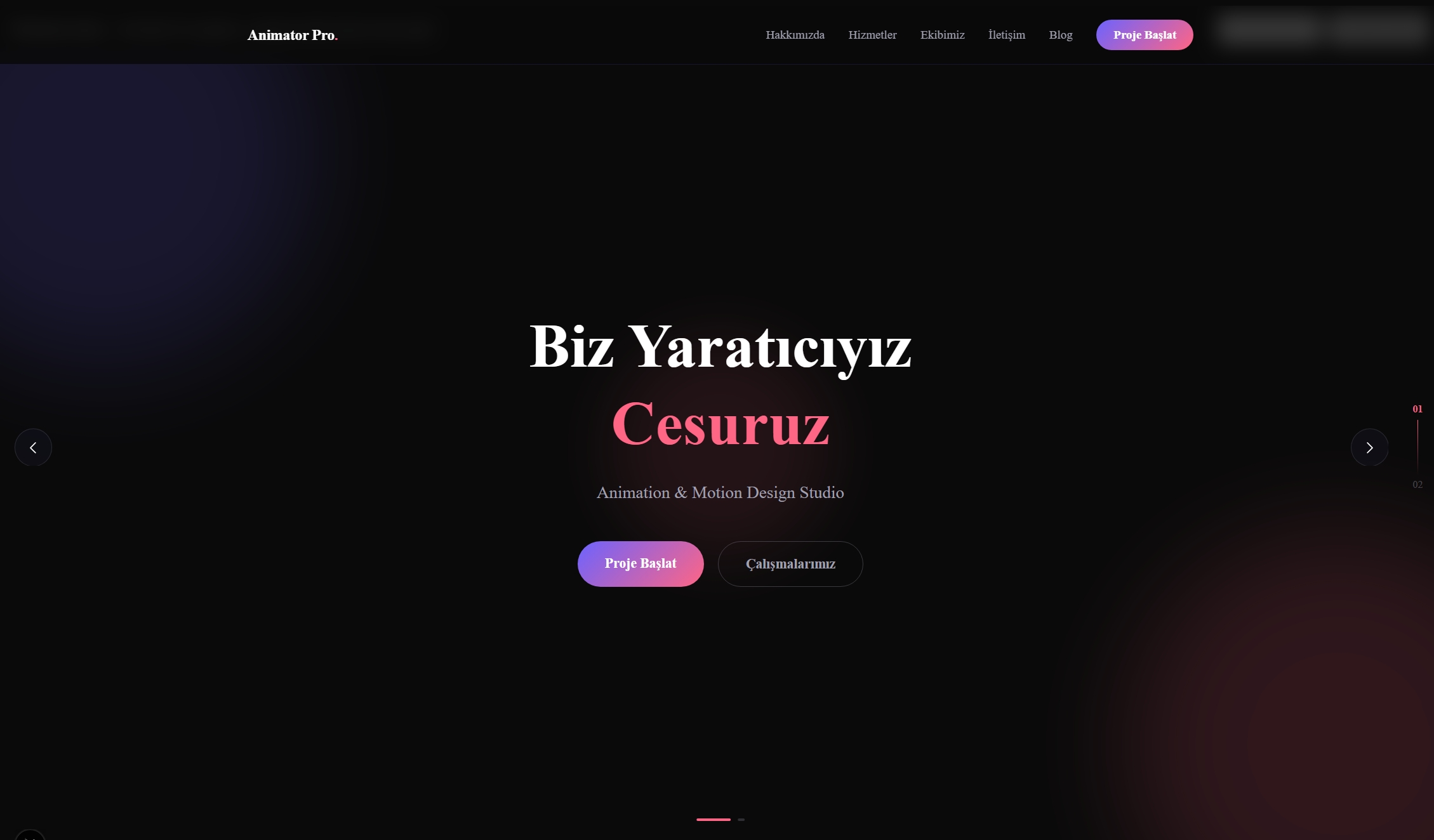 Animator Pro